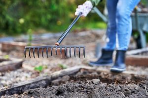 Young Happy woman with garden tools working. High quality photo